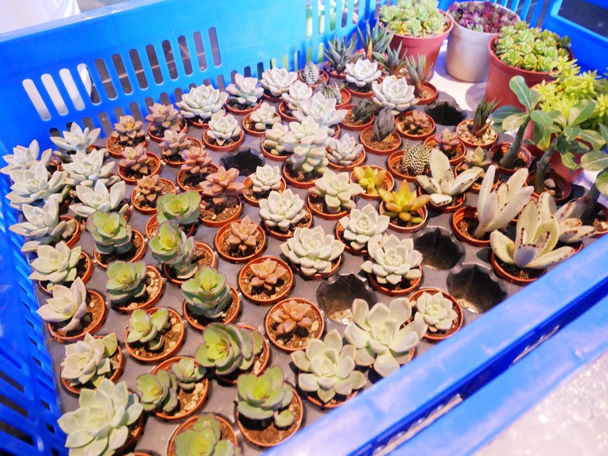 P2020400 P2020400
