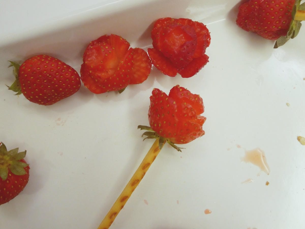 P2050355 P2050355