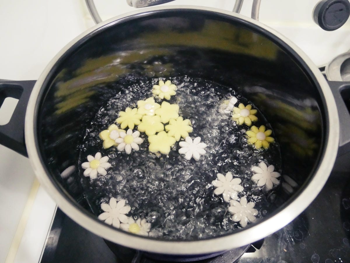 P2080419 P2080419