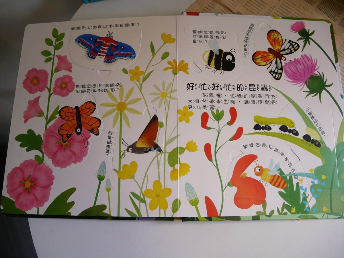 幼福文化「你問我答翻翻書系列」學知識也能很有趣!! 幼福文化「你問我答翻翻書系列」學知識也能很有趣!!