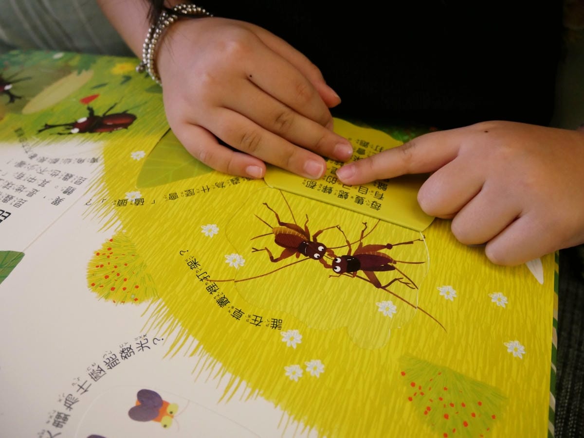 幼福文化「你問我答翻翻書系列」學知識也能很有趣!! 幼福文化「你問我答翻翻書系列」學知識也能很有趣!!