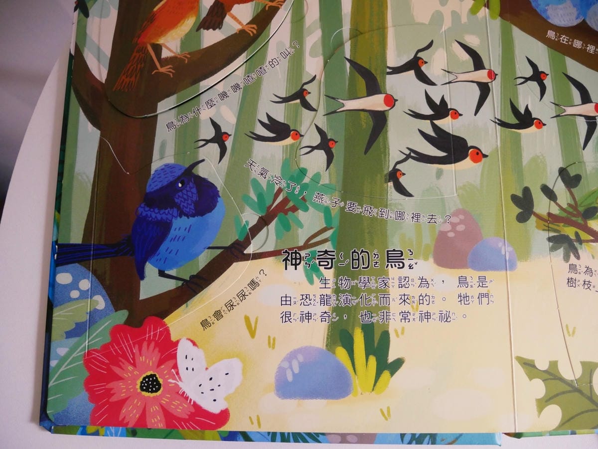 幼福文化「你問我答翻翻書系列」學知識也能很有趣!! 幼福文化「你問我答翻翻書系列」學知識也能很有趣!!