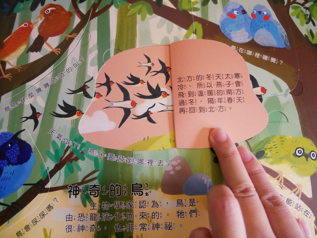 幼福文化「你問我答翻翻書系列」學知識也能很有趣!! 幼福文化「你問我答翻翻書系列」學知識也能很有趣!!