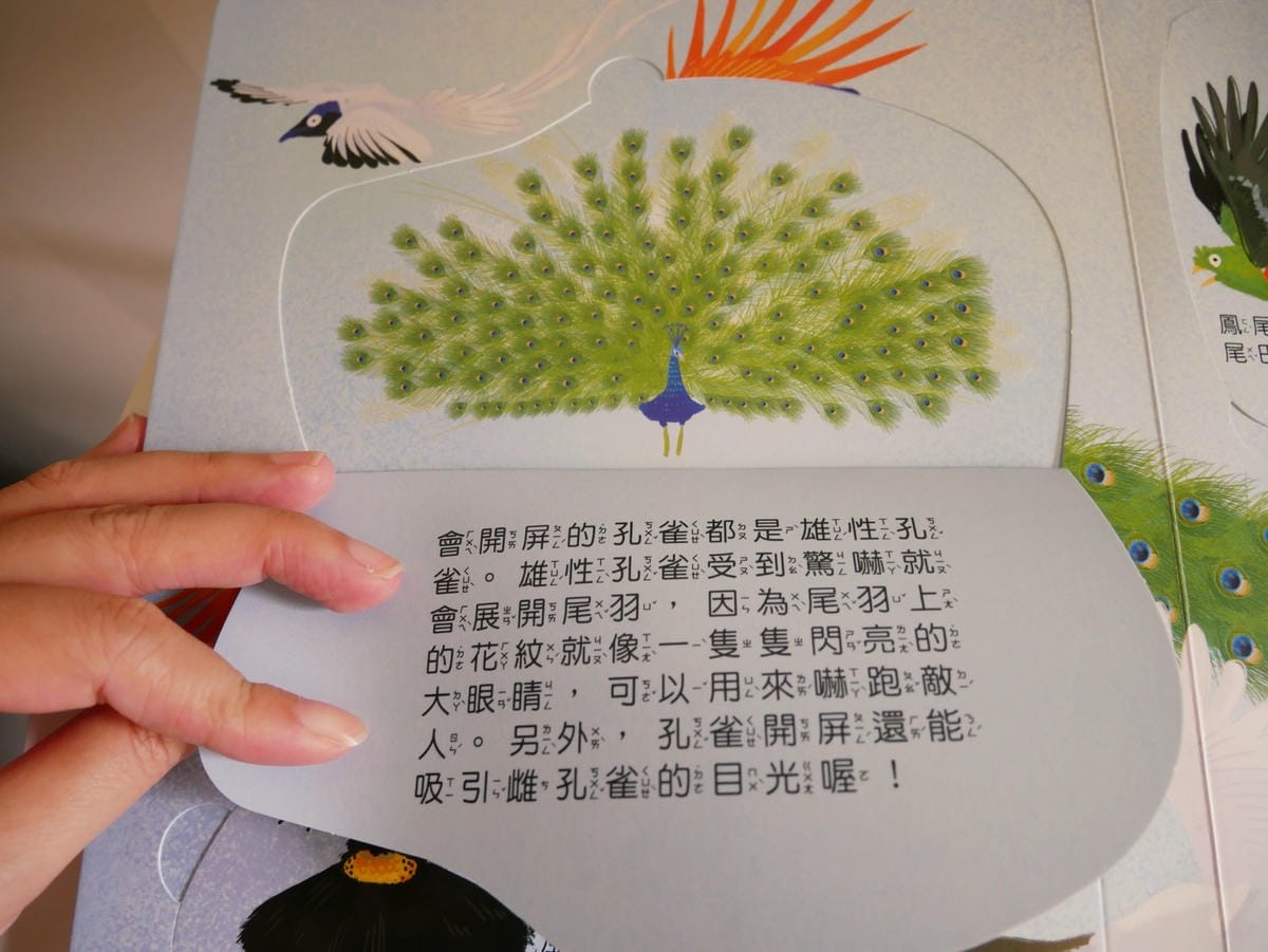 幼福文化「你問我答翻翻書系列」學知識也能很有趣!! 幼福文化「你問我答翻翻書系列」學知識也能很有趣!!