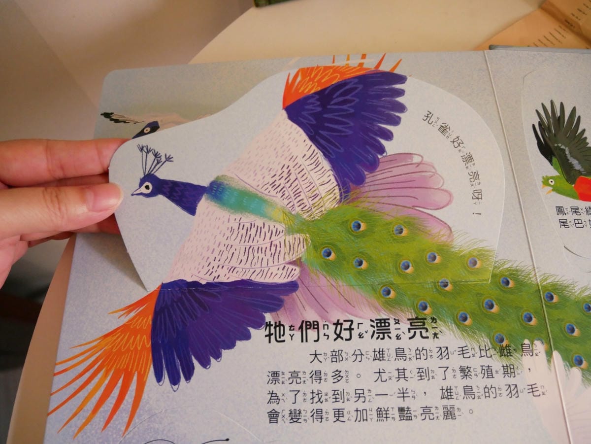 幼福文化「你問我答翻翻書系列」學知識也能很有趣!! 幼福文化「你問我答翻翻書系列」學知識也能很有趣!!