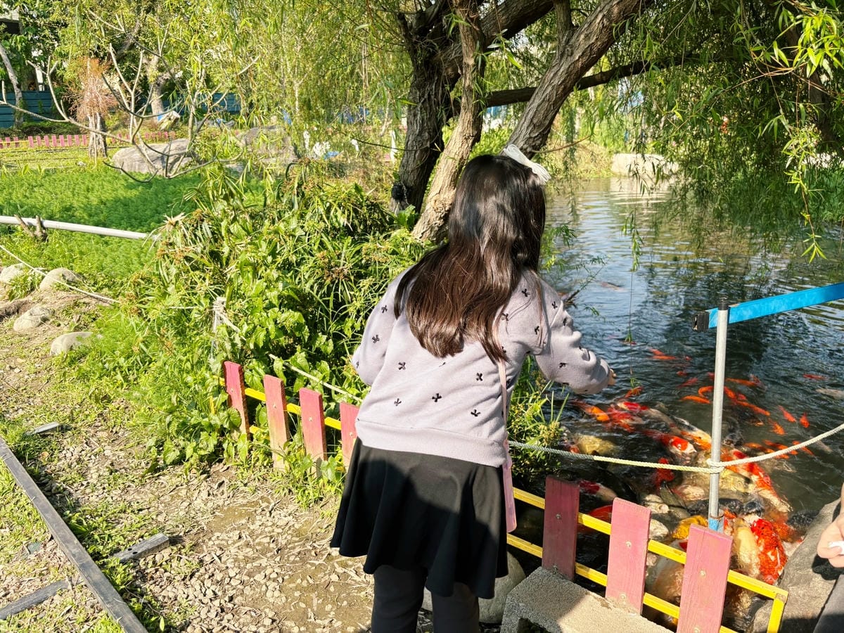 雲林斗六「鵝媽媽鵝童樂園」免門票、必坐可愛旋轉天鵝 ♪ 雲林斗六「鵝媽媽鵝童樂園」免門票、必坐可愛旋轉天鵝 ♪