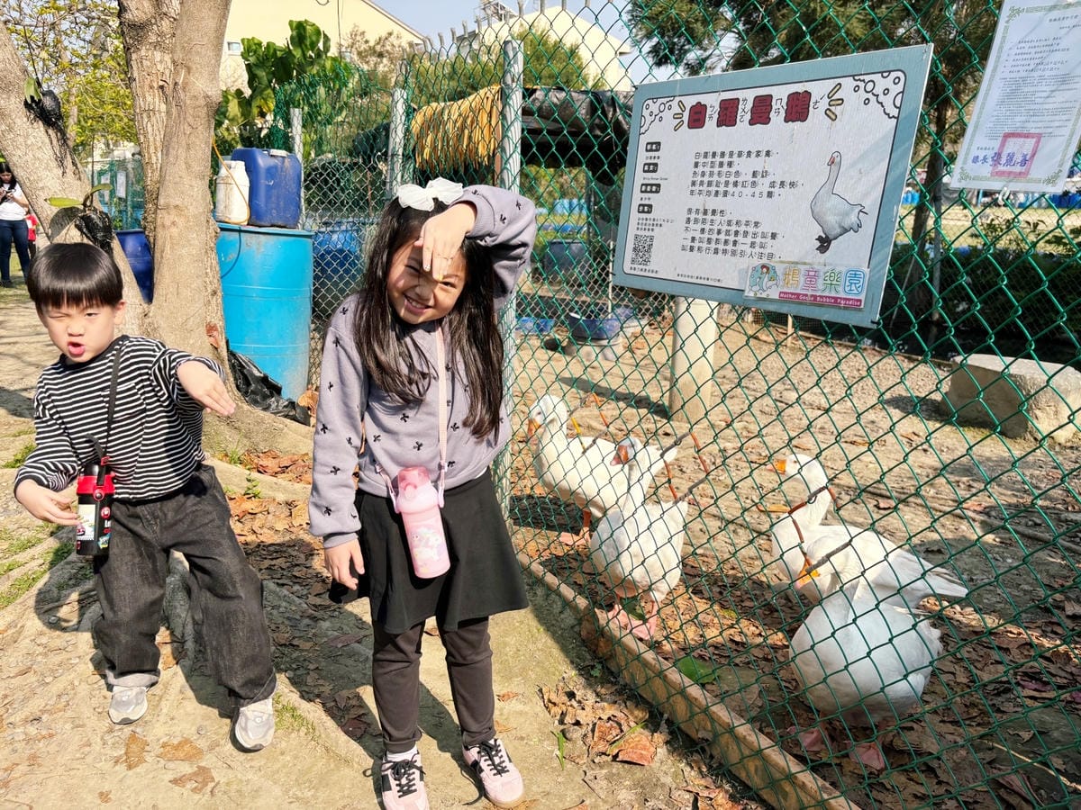 雲林斗六「鵝媽媽鵝童樂園」免門票、必坐可愛旋轉天鵝 ♪ 雲林斗六「鵝媽媽鵝童樂園」免門票、必坐可愛旋轉天鵝 ♪