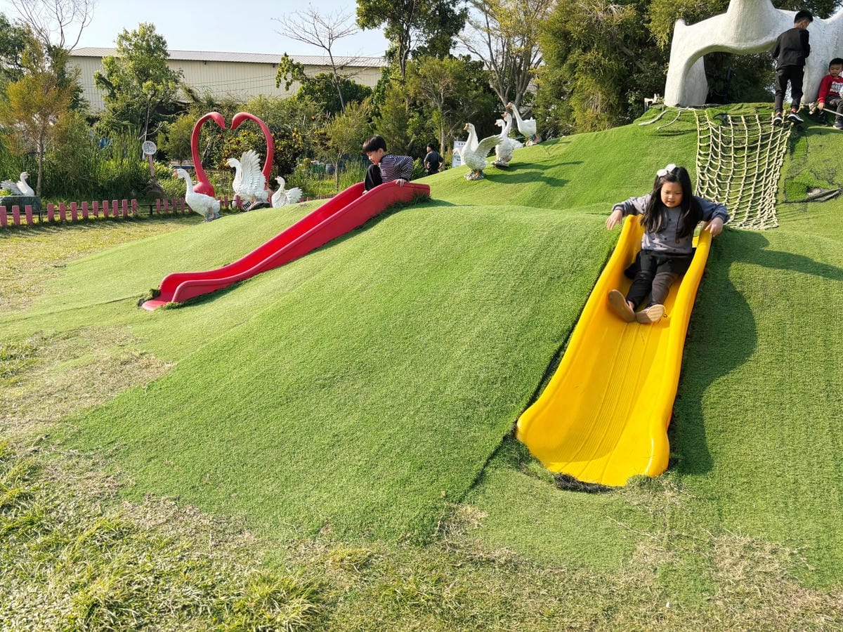 雲林斗六「鵝媽媽鵝童樂園」免門票、必坐可愛旋轉天鵝 ♪ 雲林斗六「鵝媽媽鵝童樂園」免門票、必坐可愛旋轉天鵝 ♪