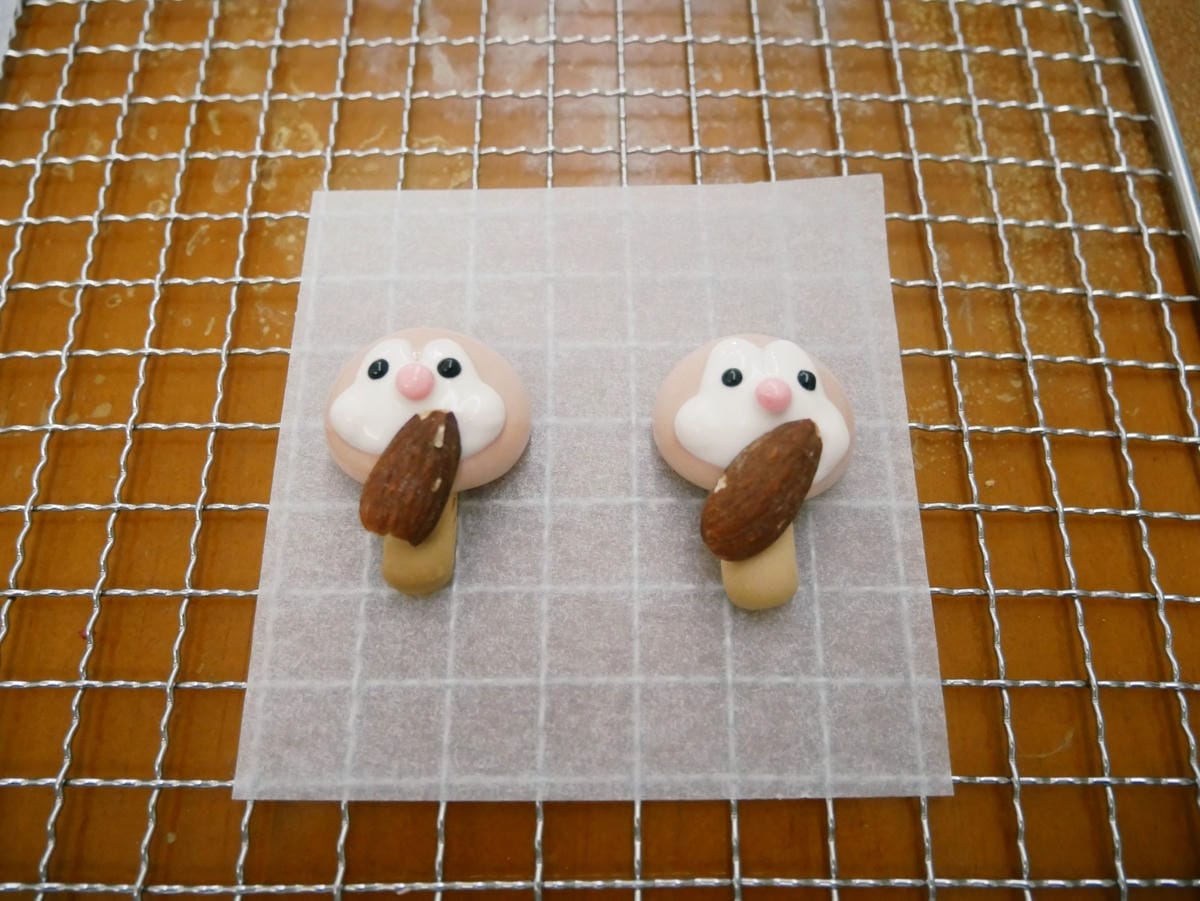 [My Little Kitchen] 森林系「抱抱小松鼠馬