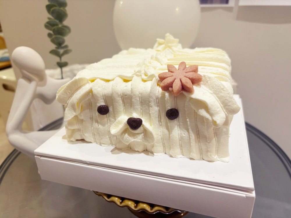 【Alston】七歲生日快樂!!低成本、韓風生日佈置❤ - 第5張圖 【Alston】七歲生日快樂!!低成本、韓風生日佈置❤